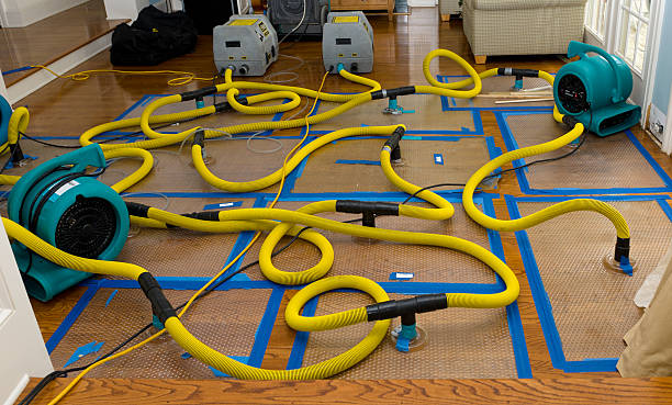 Professional Sewage Cleanup technician working in Georgetown, TN